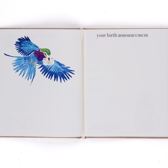 Loulou Baker Bay Milestone Book/Journal - Picture 3 of 6